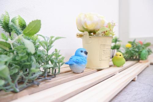 a shelf with potted plants and birds sitting on it at GLOU Koiwa Tokyo - Economic APT in a Japanese Local Shopping Street, with Direct Access to Shinjuku & Akihabara in Tokyo