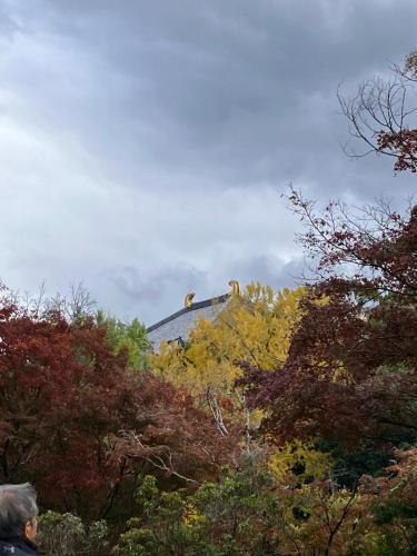 a building in the distance behind some trees at Mubean in Nara
