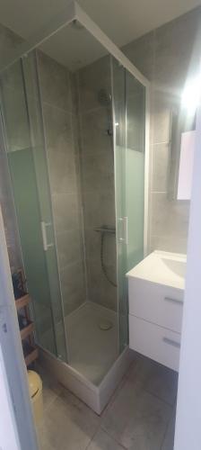 une salle de bain avec une douche en verre et un lavabo dans l'établissement Studio indépendant 27m2 Sanary sur Mer, à Sanary-sur-Mer