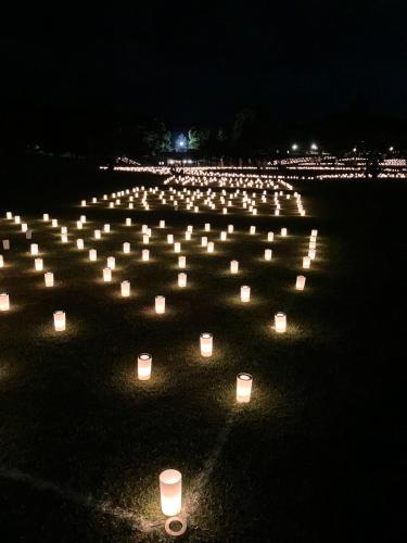 a large group of candles in a field at night at Mubean in Nara