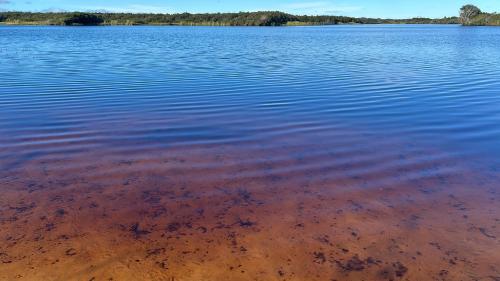 Gumdiggers Tiny House