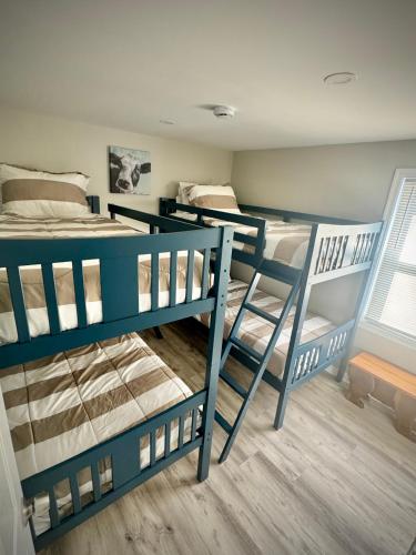 a room with three bunk beds in it at Londontowne Hideaway in Annapolis