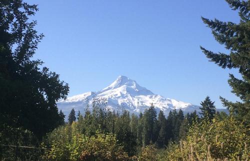 a snow covered mountain in the distance with trees at Hood View 30 Day Minimum in Mount Hood