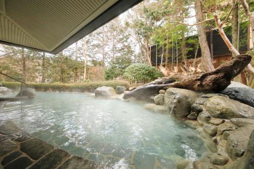 a pool of water with rocks in a backyard at Hakone Hisui in Hakone