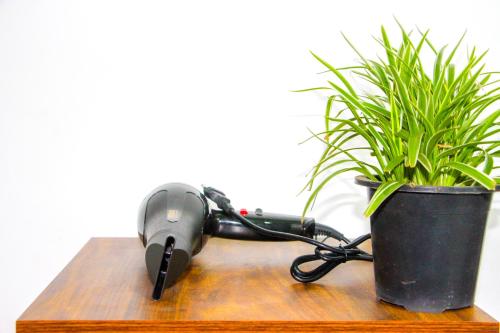 a phone sitting on a table next to a potted plant at Mom's Homestay in Sigiriya