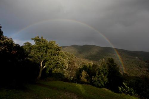 a rainbow in the sky over a hill with trees at Casale Pundarika in Riparbella