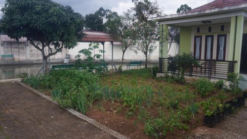 Сад в Villa Maya Ciwidey
