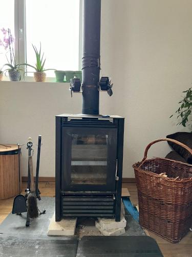 a black stove with a cat in a living room at Barn Apartment in an Old Farmhouse near Vaduz in Sevelen