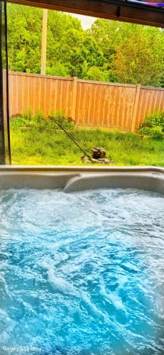 a dog on a leash in a swimming pool at 70 percent Off Luxurious Hot Tub,Sauna, 2000Sqft of Private in Vaughan