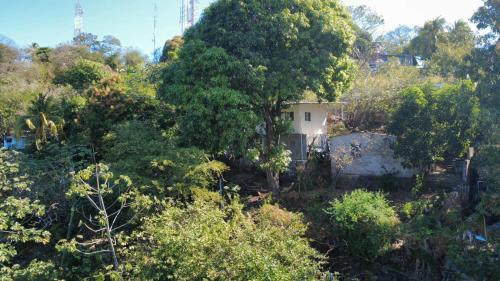 a house in the middle of a forest of trees at Punta Roca View 2 in La Libertad