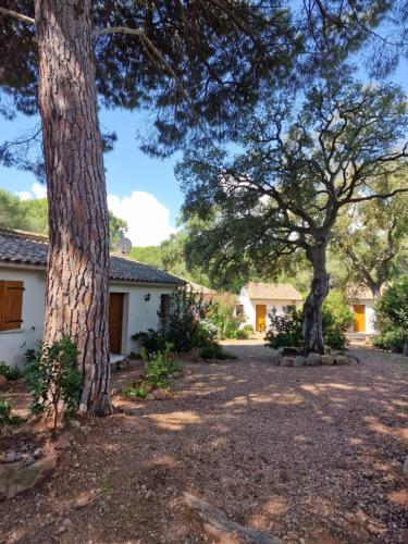 Studio pour 2 personnes à 700m de la plage de palombaggia