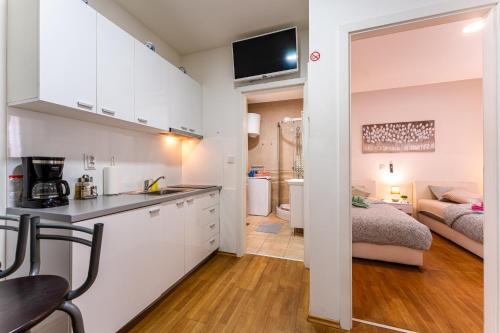 Flex SelfCheckIns 152 - Zagreb - 2 Bedrooms - Centre