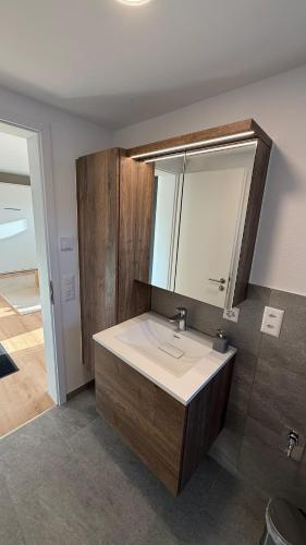 a bathroom with a sink and a mirror at Loft Tower Sisseln in Eiken