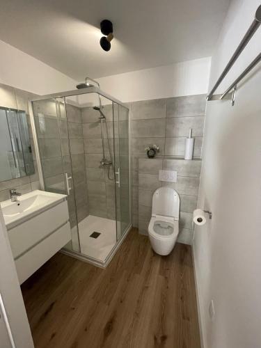 une salle de bain avec une douche, des toilettes et un lavabo dans l'établissement Studio 47 Cala Rossa Porto Vecchio, à Lecci