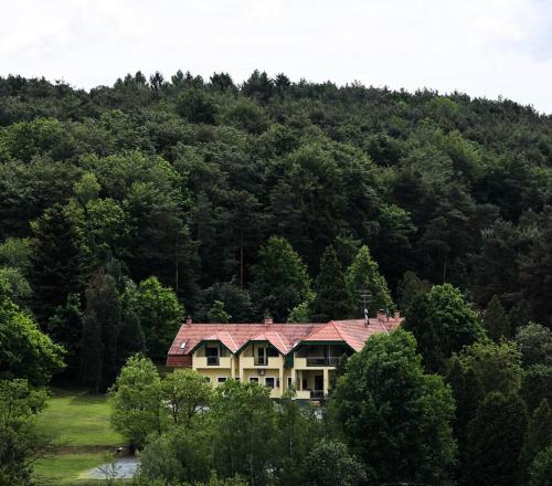 Apát Panzió és Étterem 9982 Apátistvánfalva, Fő út 51. kép - 1