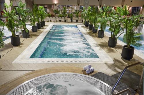 Bazén v ubytování Dream Island Spa & Health Resort nebo v jeho okolí