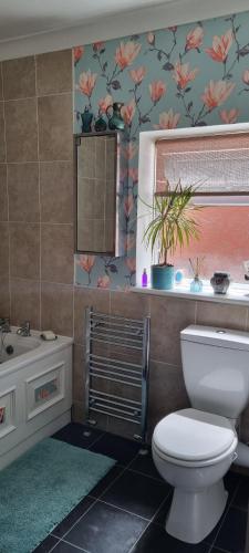 a bathroom with a toilet and a sink and a window at Quirky Victorian three bedroom terraced house in Eastleigh