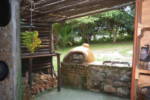 Κήπος έξω από το Sibaya Camp & Backpackers