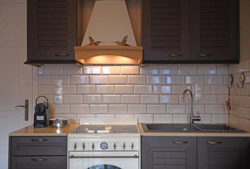a kitchen with a stove and a sink at Seagulls' House in Evdilos