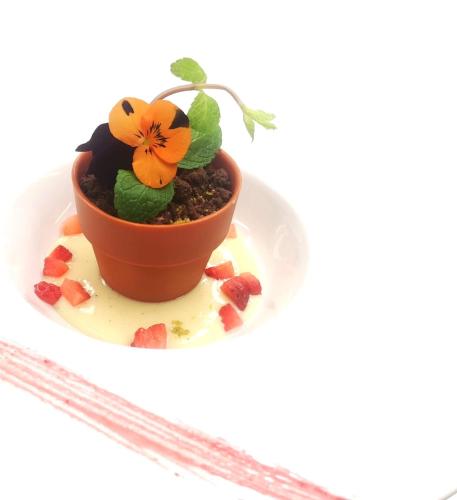 a plant in a pot on a white plate at Hotel Antines in La Villa