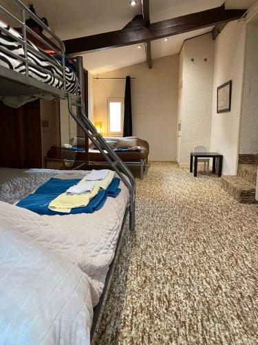 a bedroom with two bunk beds and a couch at Gîte de l'ouvroux in Montournais