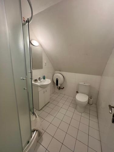 a small bathroom with a toilet and a sink at Penzion Star Doksy in Doksy