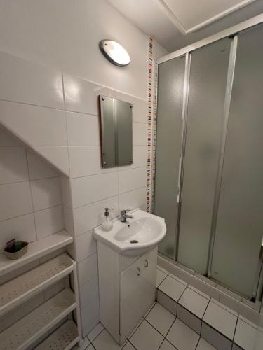 a bathroom with a sink and a shower at Penzion Star Doksy in Doksy