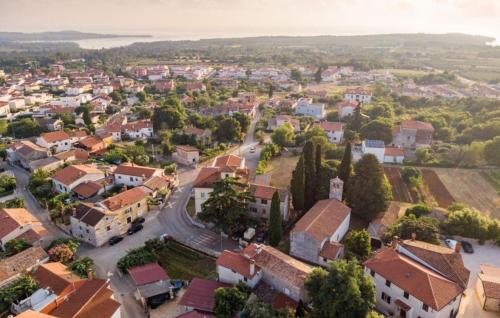 an aerial view of a small town with houses at Beautiful Villa Vegt with pool in Labinci in Labinci