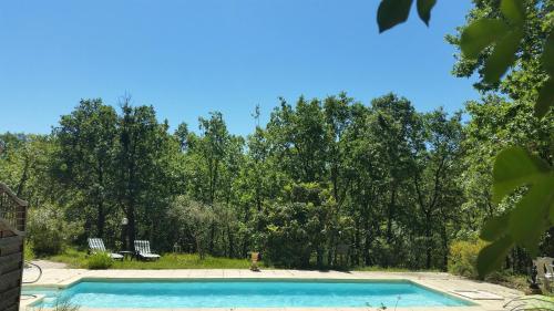 une piscine vide avec des arbres en arrière-plan dans l'établissement La Maison du Coq, à Gréoux-les-Bains