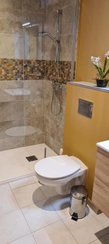 une salle de bain avec toilettes et douche en verre dans l'établissement La Maison du Coq, à Gréoux-les-Bains