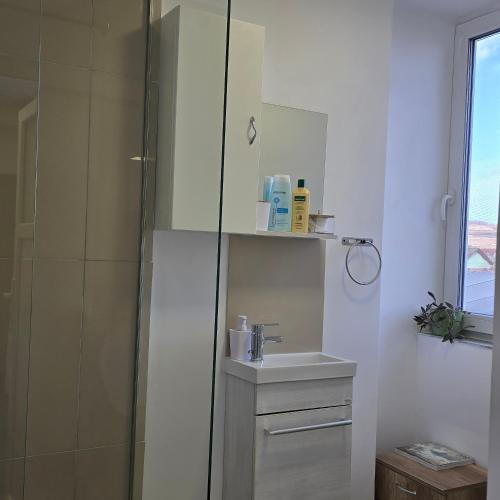 a bathroom with a shower and a sink at MA DONNA rooms in Floreşti
