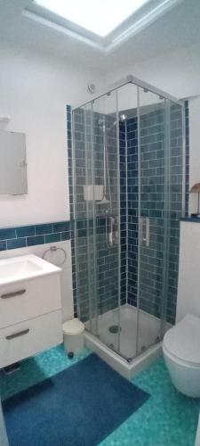une salle de bain avec une douche en verre et des toilettes dans l'établissement La Goélette Beau duplex A 150 m du centre ville et 400m de la plage de l'écluse, à Dinard