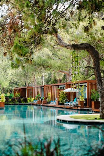 a large swimming pool with chairs and a tree at Club Marco Polo - Premium All Inclusive in Kemer