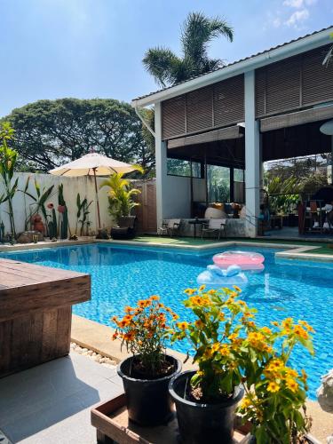 a swimming pool with potted plants next to a house at ChiangMai清迈 cozy pool Villa 8rooms in Chiang Mai