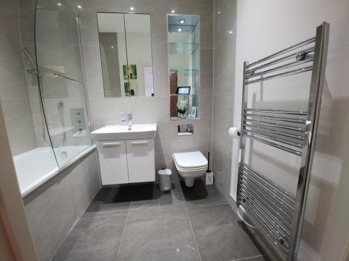a bathroom with a sink and a toilet and a shower at Reigate - Lovely modern serviced apartment in Reigate