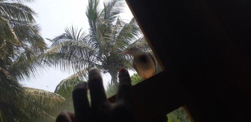 a person holding their hand up in front of a palm tree at FS Hotel & villa in Arugam Bay