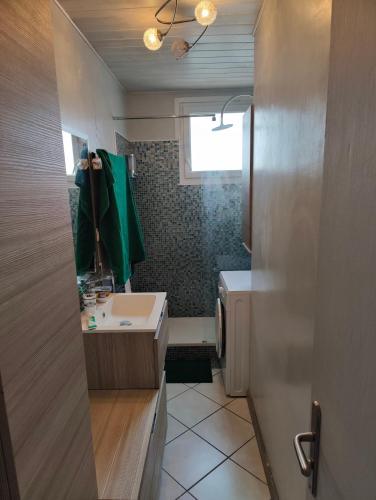une salle de bain avec un lavabo et une douche avec une fenêtre dans l'établissement Le nid de la Garonne, à Toulouse
