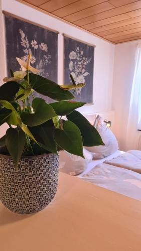 a potted plant sitting on a table in a bedroom at Ferienwohnung Altenberg in Konz
