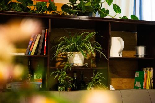 una mensola con una pianta in vaso di Lahill I Cozy Home I Best View a Xuan An