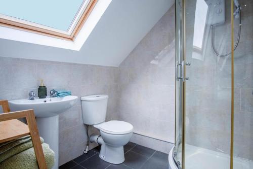 a bathroom with a toilet and a sink and a shower at Ridgeway Retreat - 1 Bedroom Cottage - Manorbier in Manorbier