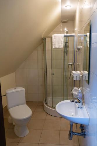 a bathroom with a toilet and a shower and a sink at Agroturystyka Jeroniczówka in Choroszcz