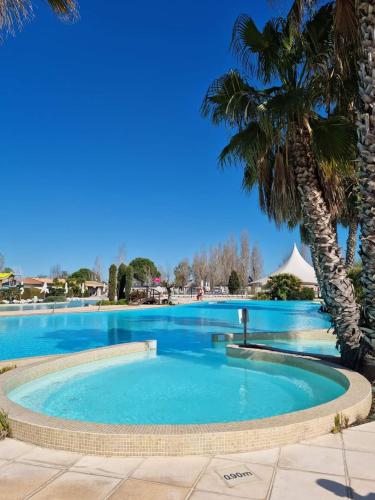 une grande piscine avec des palmiers dans un complexe hôtelier dans l'établissement Mobilhome dans Camping Vias plage, à Vias