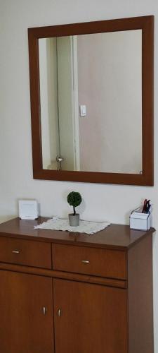 a mirror on top of a dresser with a plant on it at Σαν Στο Σπίτι Σας in Xanthi