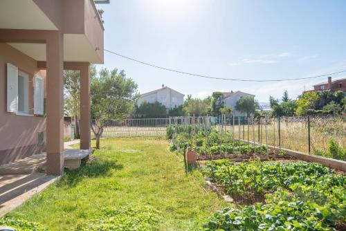 Apartment Samac