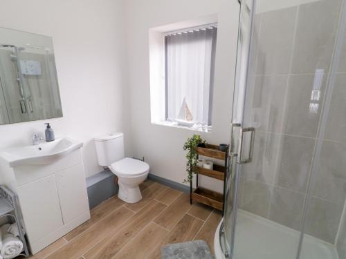 a bathroom with a toilet and a sink and a shower at Town House No 1 in Falcarragh