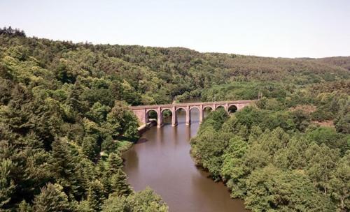 a bridge over a river in the middle of a forest at Maison au bord de l'eau, Bain nordique in Guipry-Messac