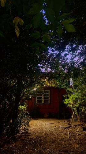 a small red house with a tree in front of it at Un trozo de bosque en la ciudad in Santiago