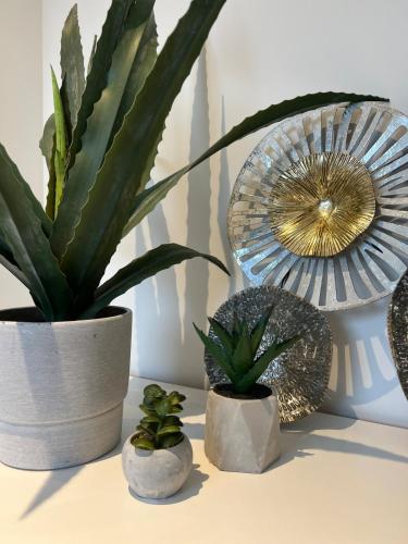 a table with three potted plants and a fan at City Apartment 2 in Euskirchen