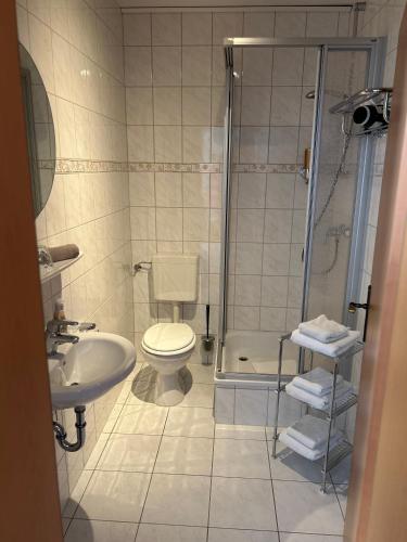 a bathroom with a shower and a toilet and a sink at Pension und Café "Alte Straßenmeisterei" in Hasselfelde