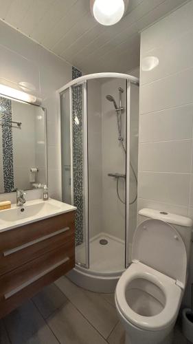 une salle de bain avec une douche, des toilettes et un lavabo dans l'établissement Le Liberty Zen - Proche Camp Naturiste - Terrasse - Parking, au Cap d'Agde